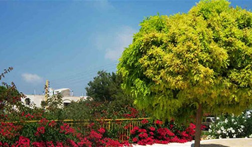 اتحاد-بلديات-الشوف-الالة