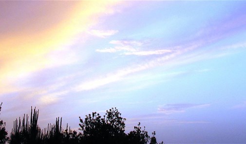 عبودية