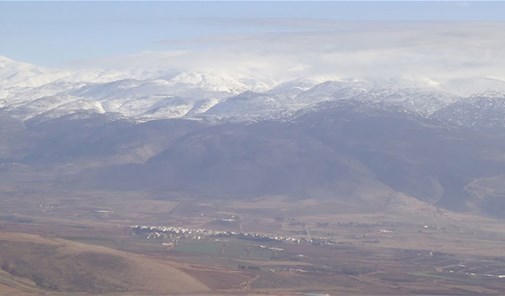 دغلة