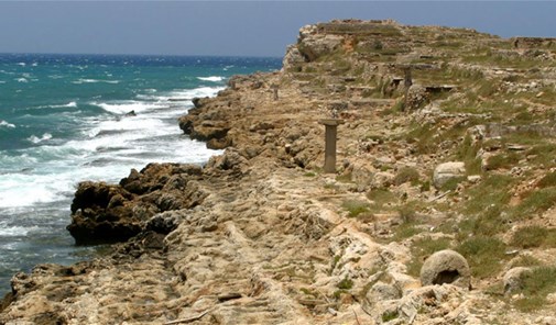 انفه