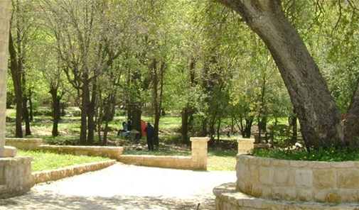 مزرعة-التفاح