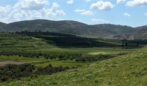 سرعال