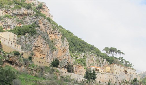 تاران