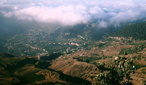 نفيسة