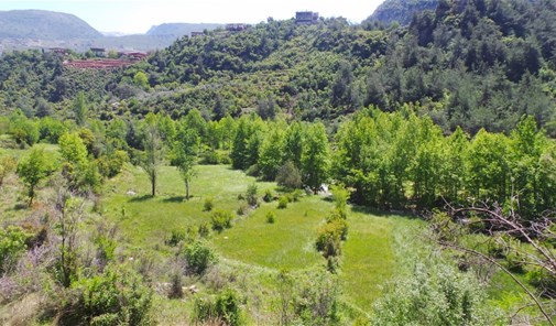 زوق-حدارة