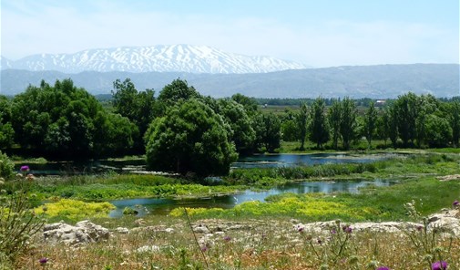 عامر-رجم-عيسي