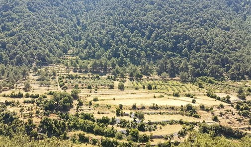 ضهر-عين-العوينة