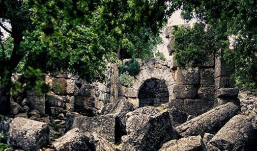 عودة
