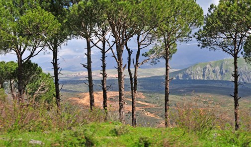 beit-el-hajj