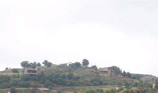 شربيلا