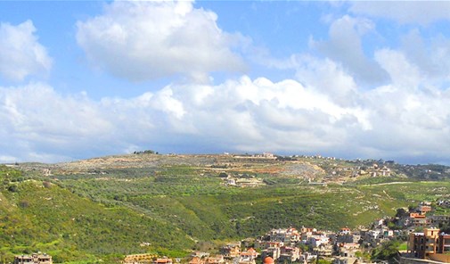 دببية