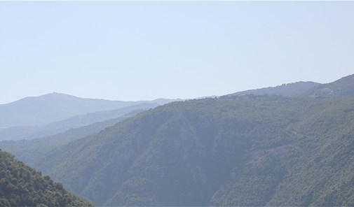 حويش