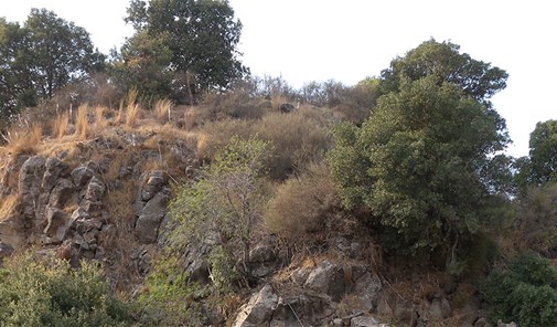 منجز