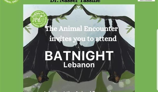 aley-nuit-des-chauves-souris-animal-encounter