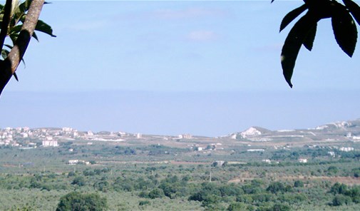 عفصديق