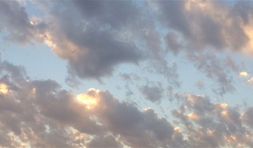 حبوش