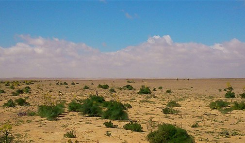 حاصبيا