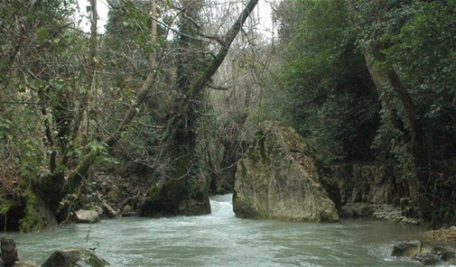 حولا