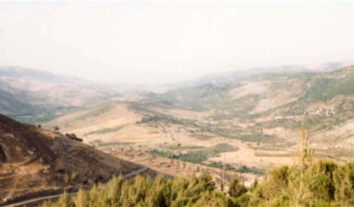 إنصار
