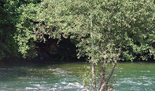 جديدة-مرجعيون