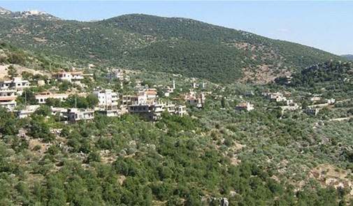 كفردونين