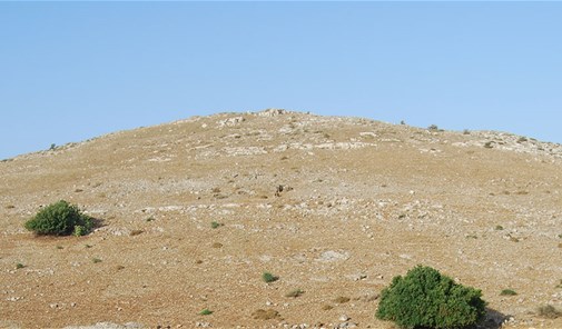 kfar-tibnit