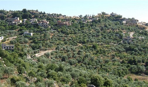 كفور-النبطية