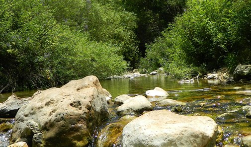 nabatiyeh-el-faouqa