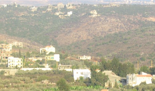 صفد-البطيخ