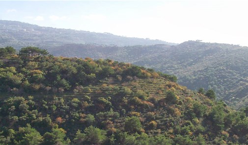 عطشانه
