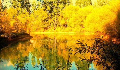 باعصر-حارة-بعاصير