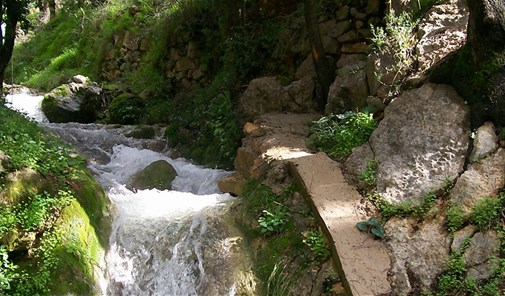 بيدغان-بيدجان-الوادي