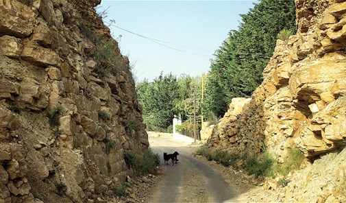 بكفيا-المحيدسه