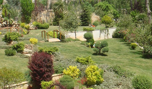 بزمار