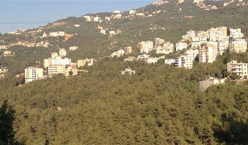 ديك-المحدي-دير-طاميش