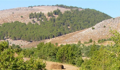 فوارة-جعفر