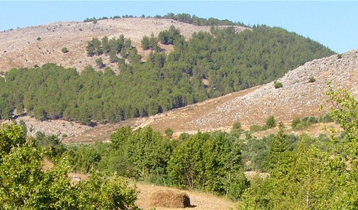 faouarat-jaafar