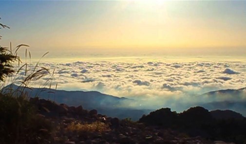 جاج
