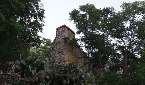 رشمايا