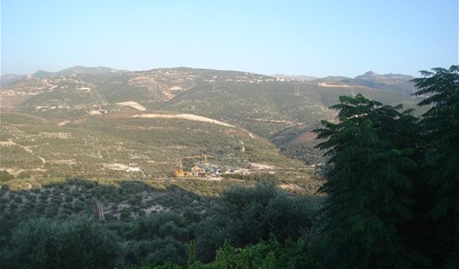 تعزانية