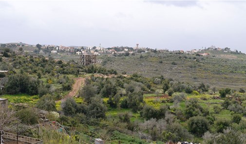 عرب-طبايا