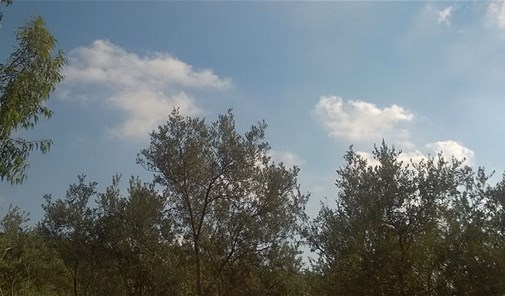 عرمتا