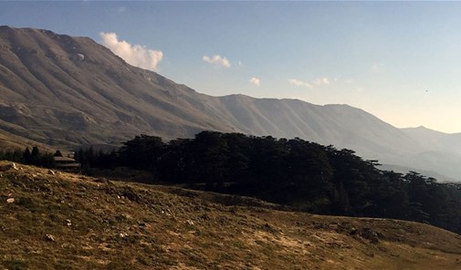 عرزال