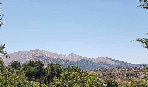 بنواتي