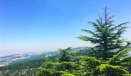 بقسطا