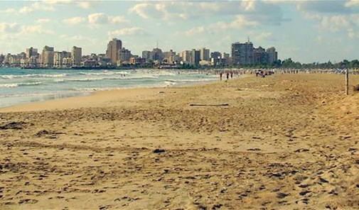 شيتية-ملكية-الساحل