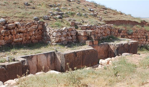 غسانية