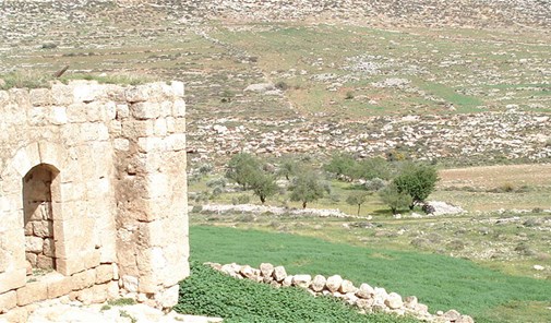 حجة