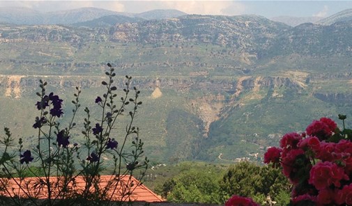 جزين-عين-مجدلين