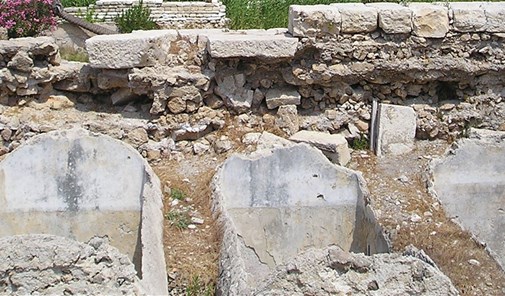 الجبين